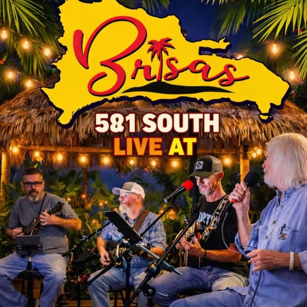 Four musicians playing instruments and singing under a tiki hut with string lights at night.